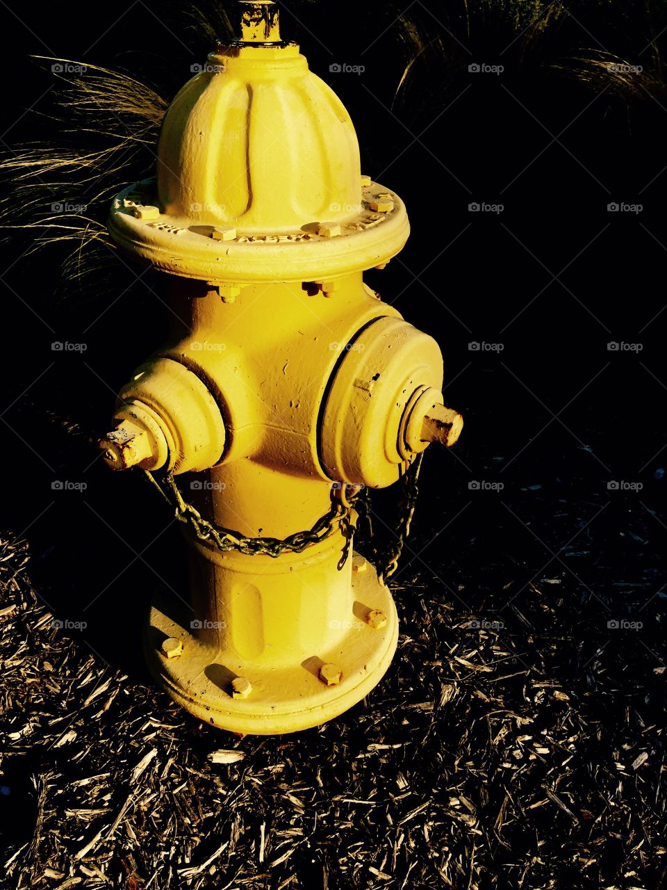 Yellow fire hydrant 