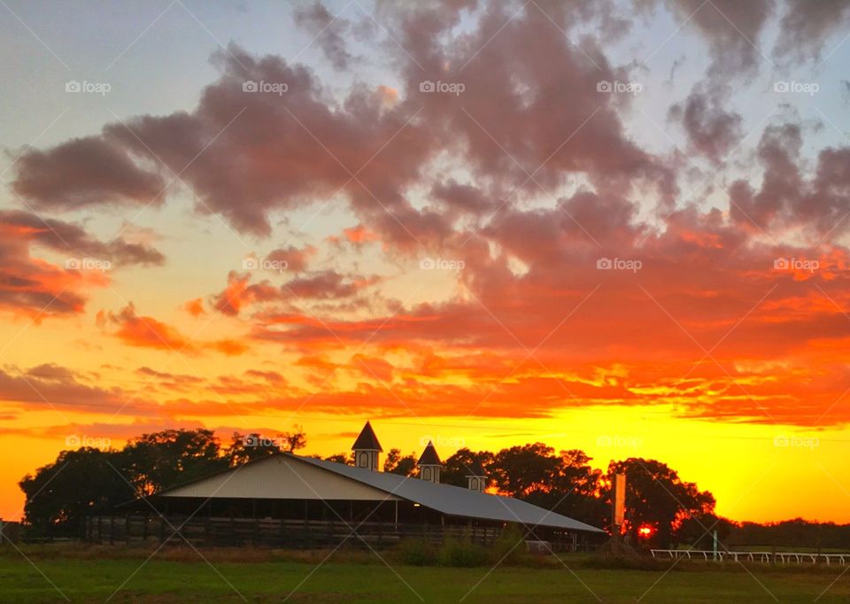 Ocala horse stable sunset