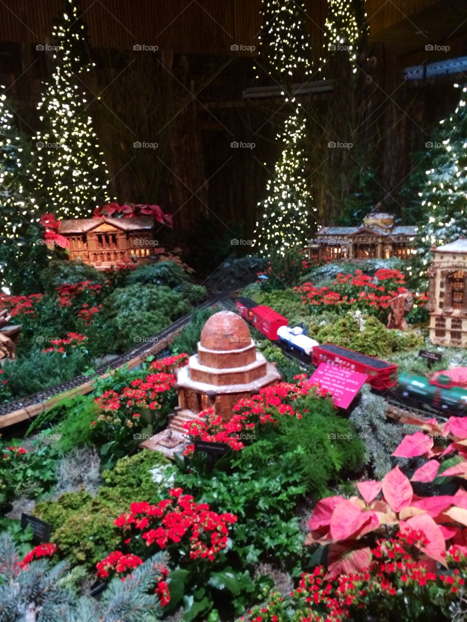 Magical train journey . The Christmas model  railroad set  at Chicago botanical gardens 