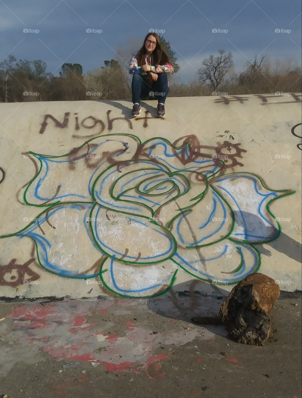 graffiti wall artistic rose