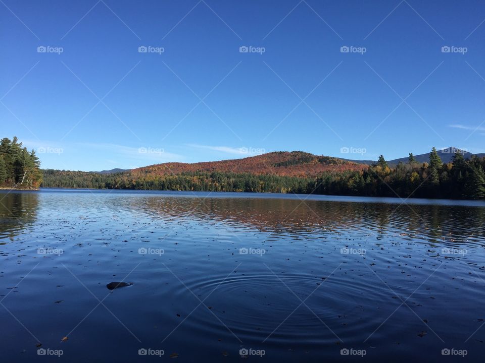 Beautiful lake with fall leaves and ripples from skipping rocks