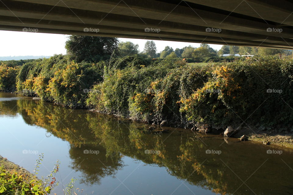 reflection in the river