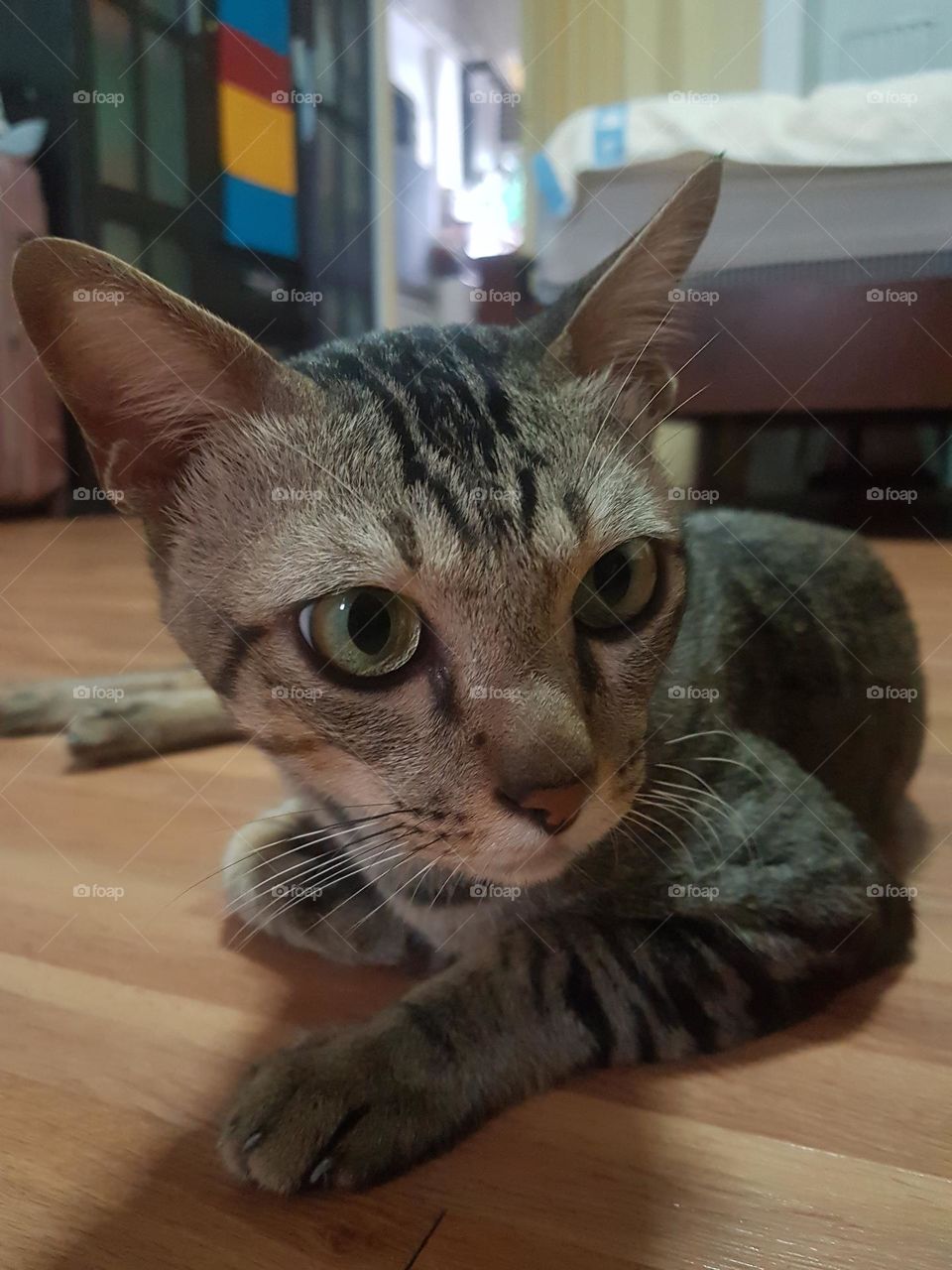 seductive and annoying