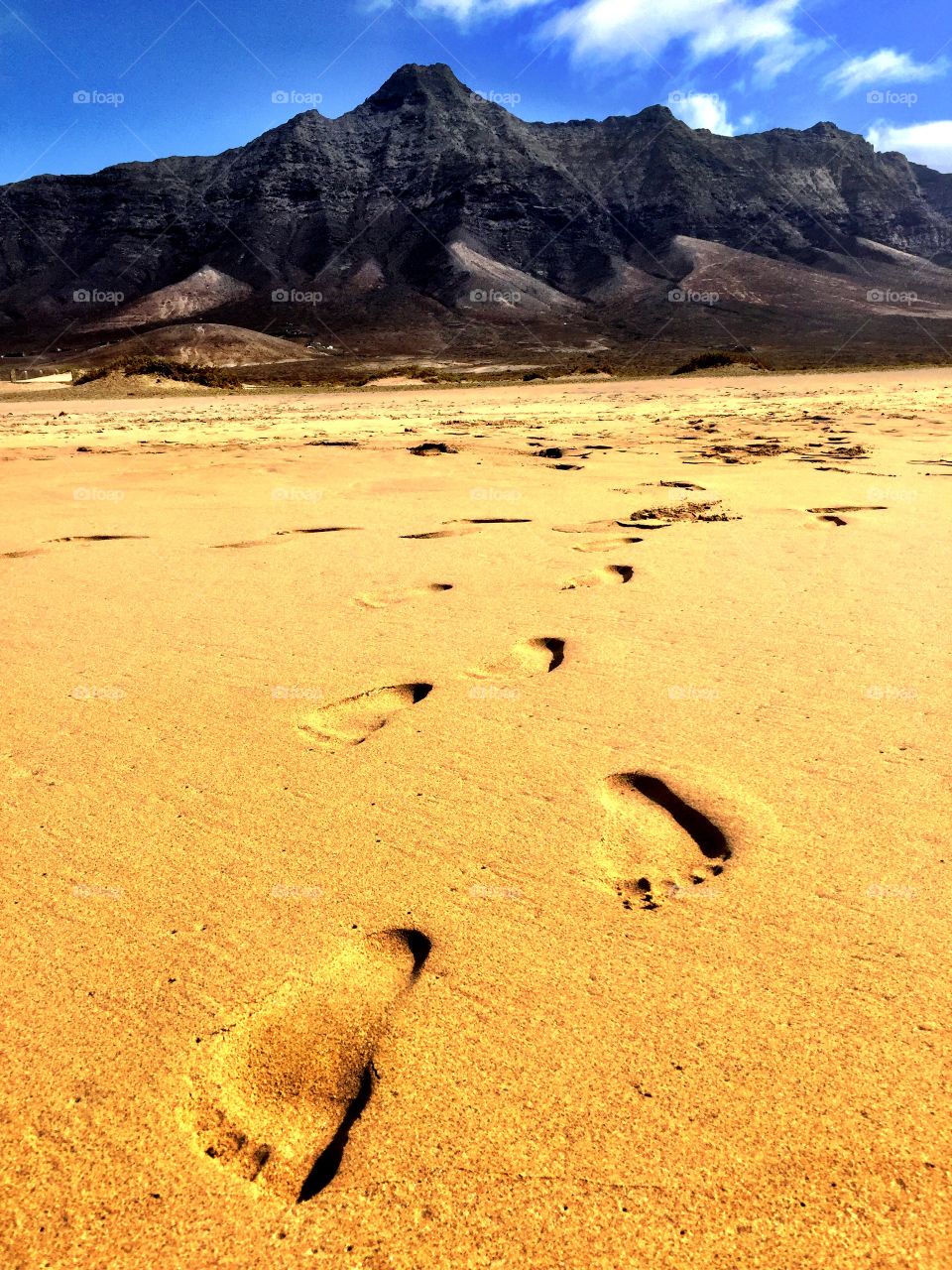 foot prints in the sand ,walking towards the ocean