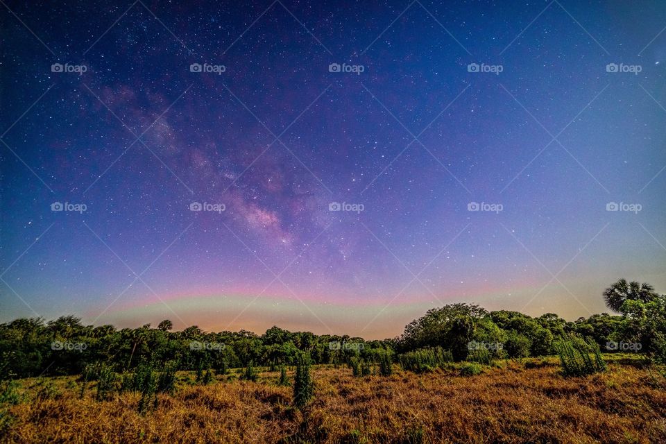 Milky Way over myakka state park 