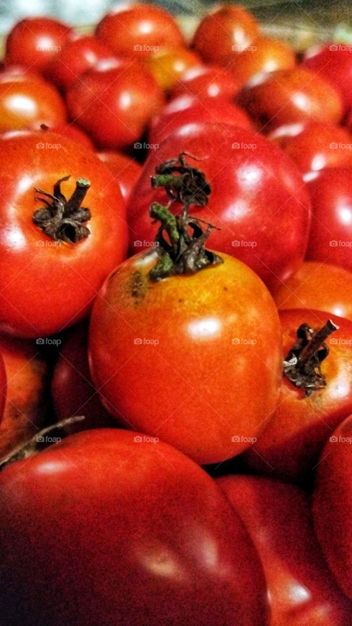 red tomatoes