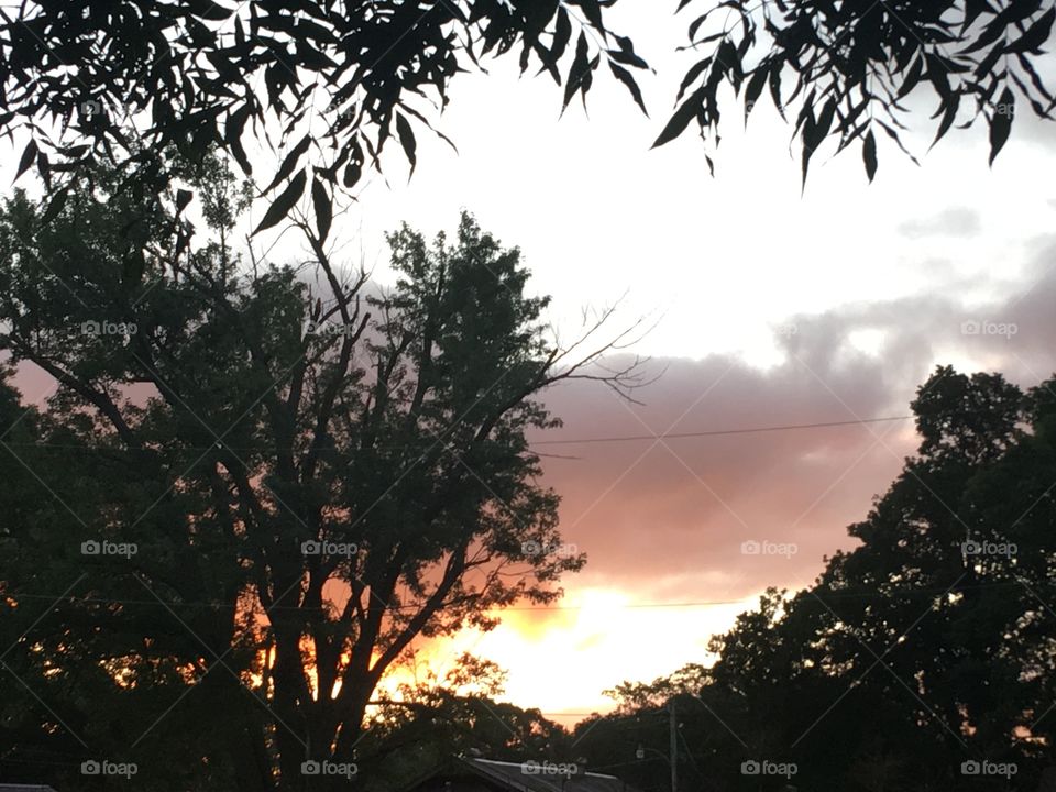 Caught this beautiful sunrise out my back door with coffee in my hand. Worth getting up for.