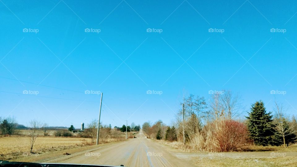 Once Upon A Spring Morning