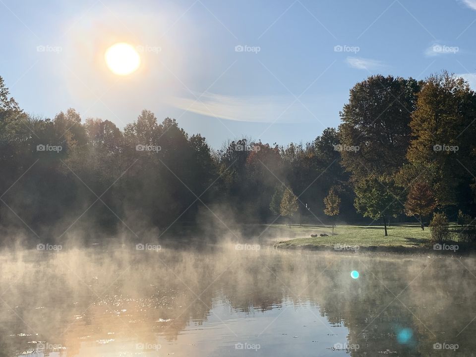The mist rising from the pond at a local park. Lots of light, some shadows, a touch of green, and the pond looks like it’s on fire. 