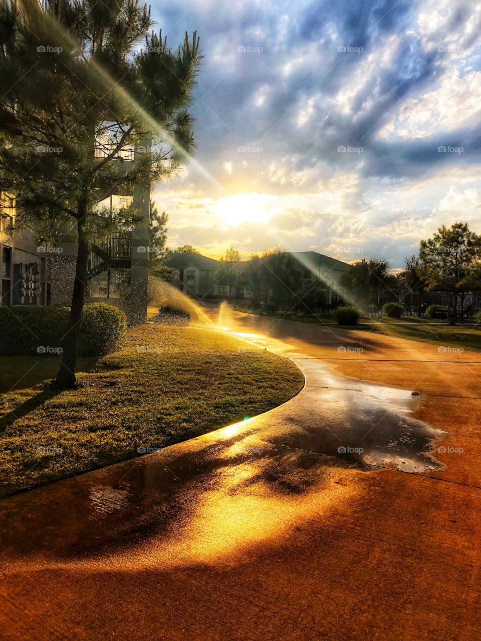 Good morning! I love the evening  walks before relaxing for the night. You see so much beauty around you. Sunsets, evening rays, and a little mist from the sprinkler system.