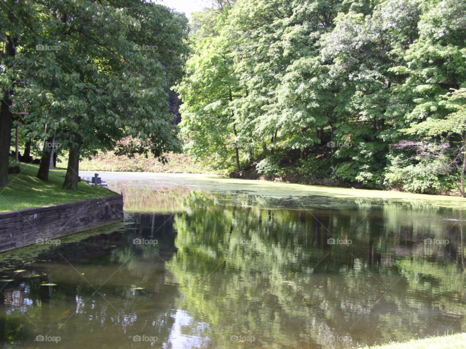 Water, Nature, Tree, River, Park