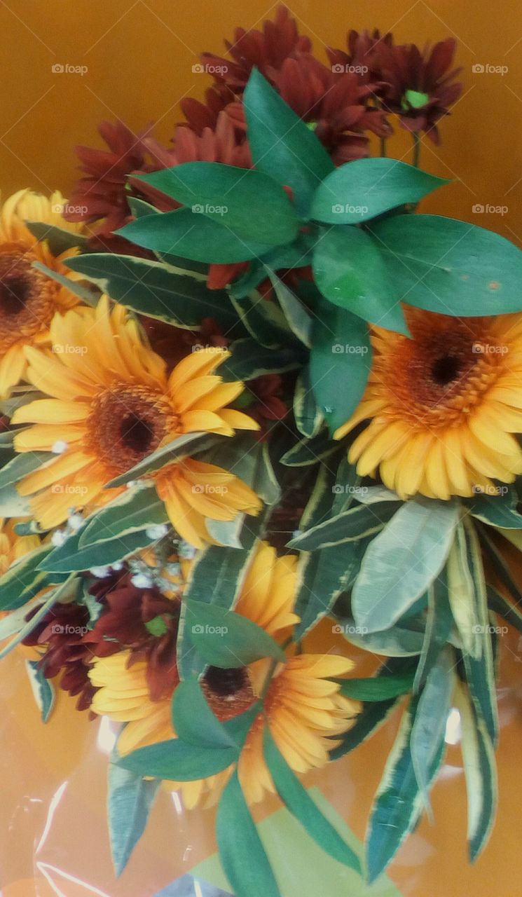 Bouquet of sunflowers and green leaves