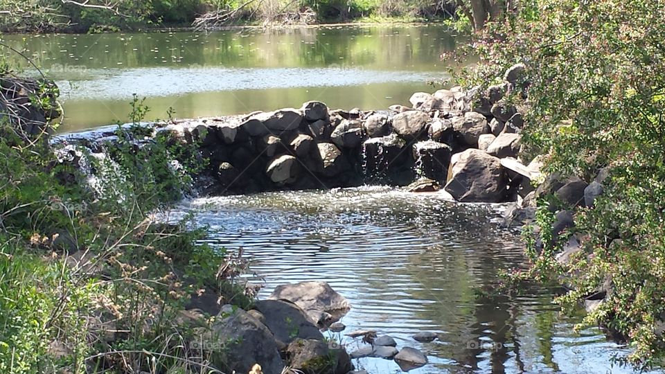 Spring Rocks. Pond Emptying 