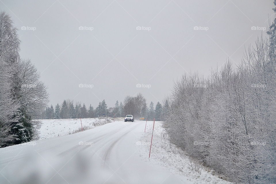 Winter road