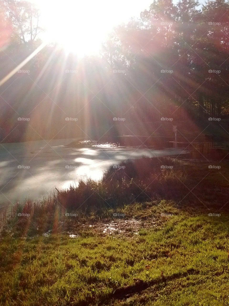 Sunlight over the idyllic pond