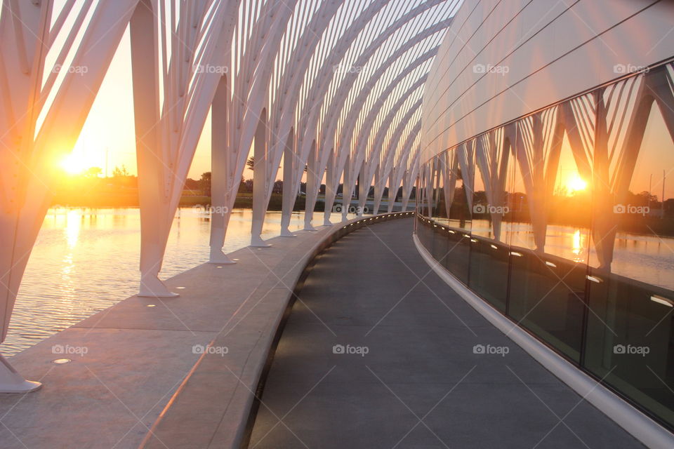 Florida polytechnic university sunset 