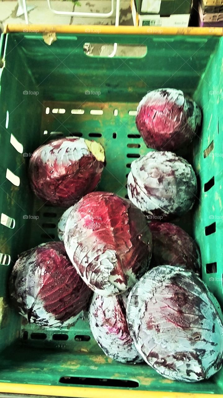 Red Cabbages