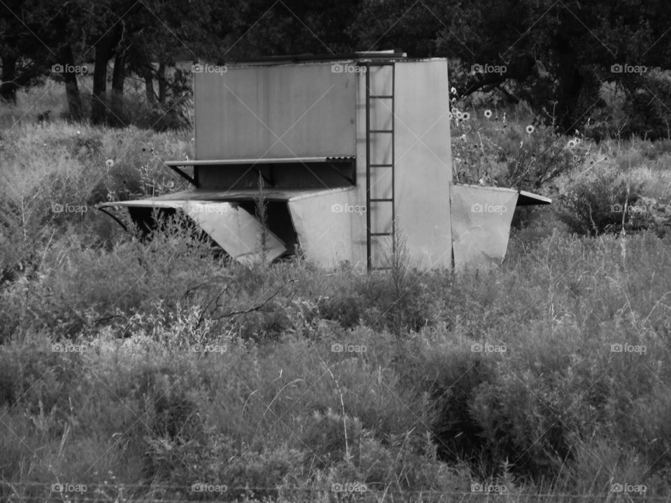 cattle feeder. This is a picture of a Texas cattle feeder that sits out in the field to store grain and feed the bull. π£ πΆ π π₯ π¨