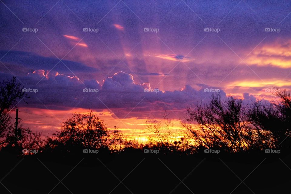 Sunset in the desert 