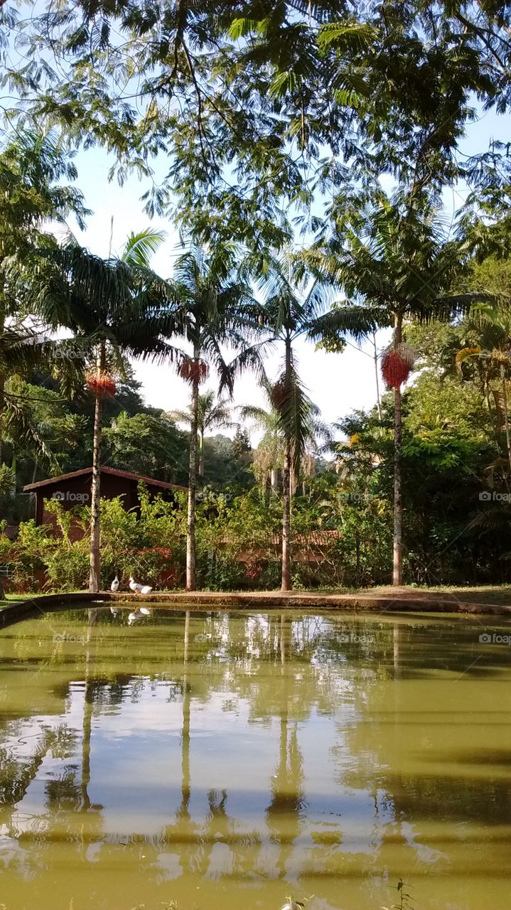 Um lago, uma sombra e um recanto! Como não se sentir relaxado estando em meio a natureza em cenário de tal beleza?