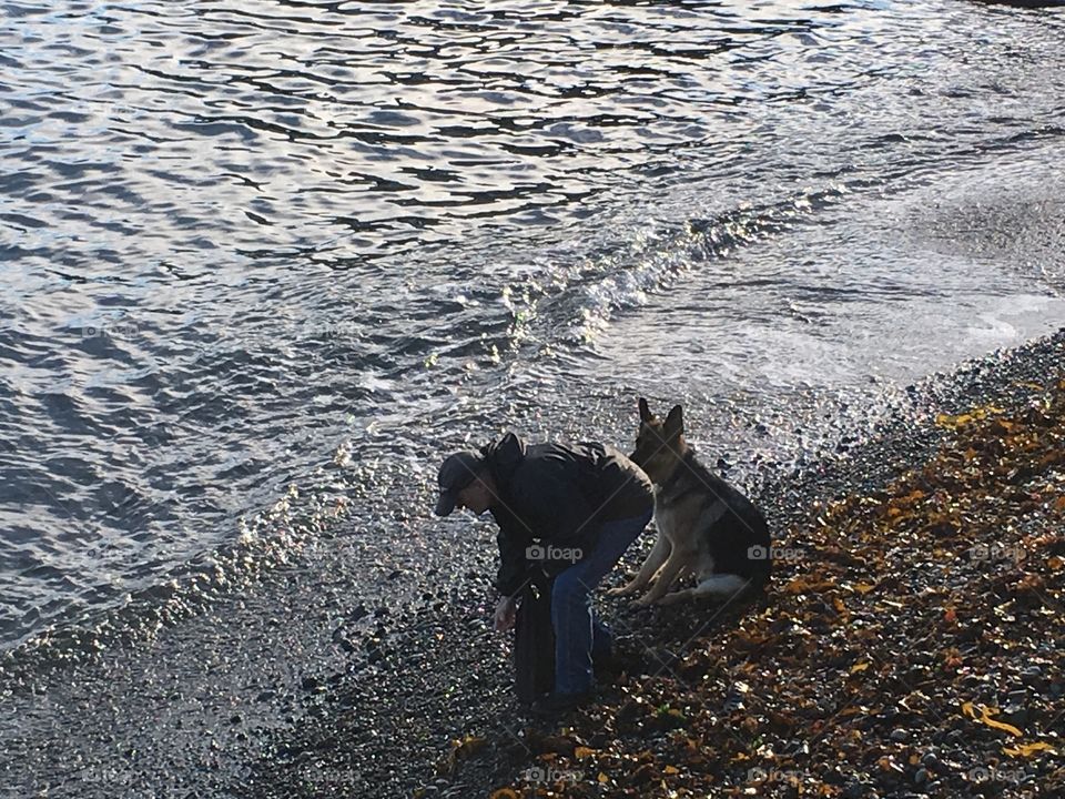 Grey ocean a man and his dog