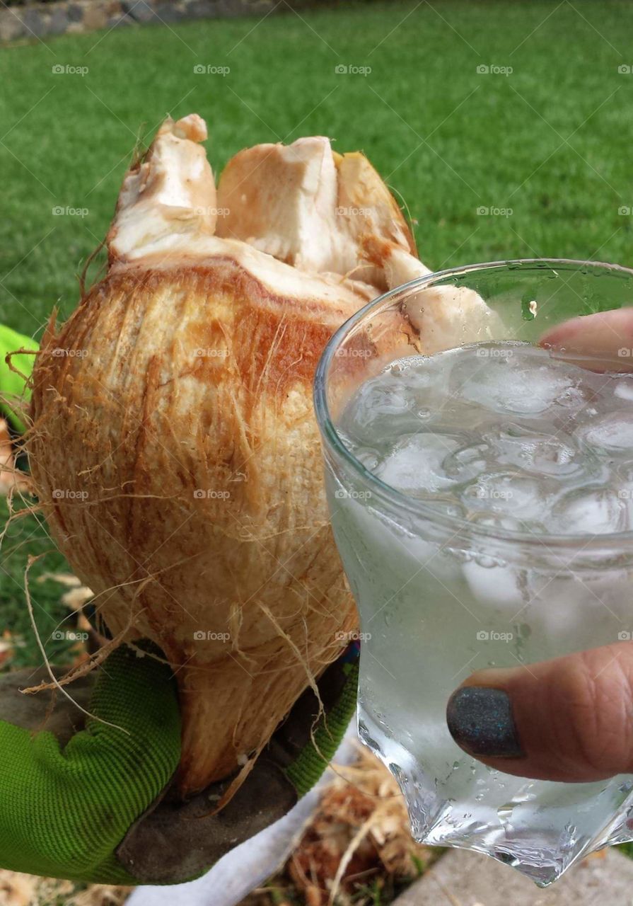 Coconut Water fresh off the tree!