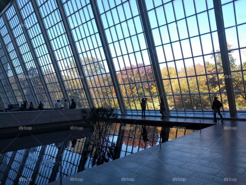 Autumn reflected in the MET