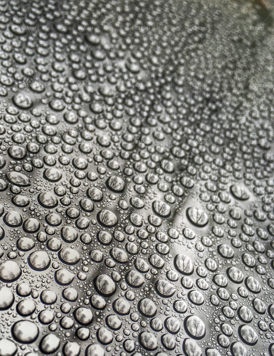 Droplets on my roof