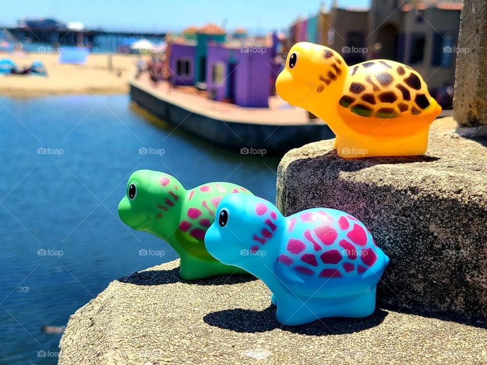 Different colored rubber turtles much like rubber ducks sitting on a ledge of a the soquel bridge in Capitola California overlooking the beach and the wharf with the Venetian in the background on a beautiful sunny afternoon