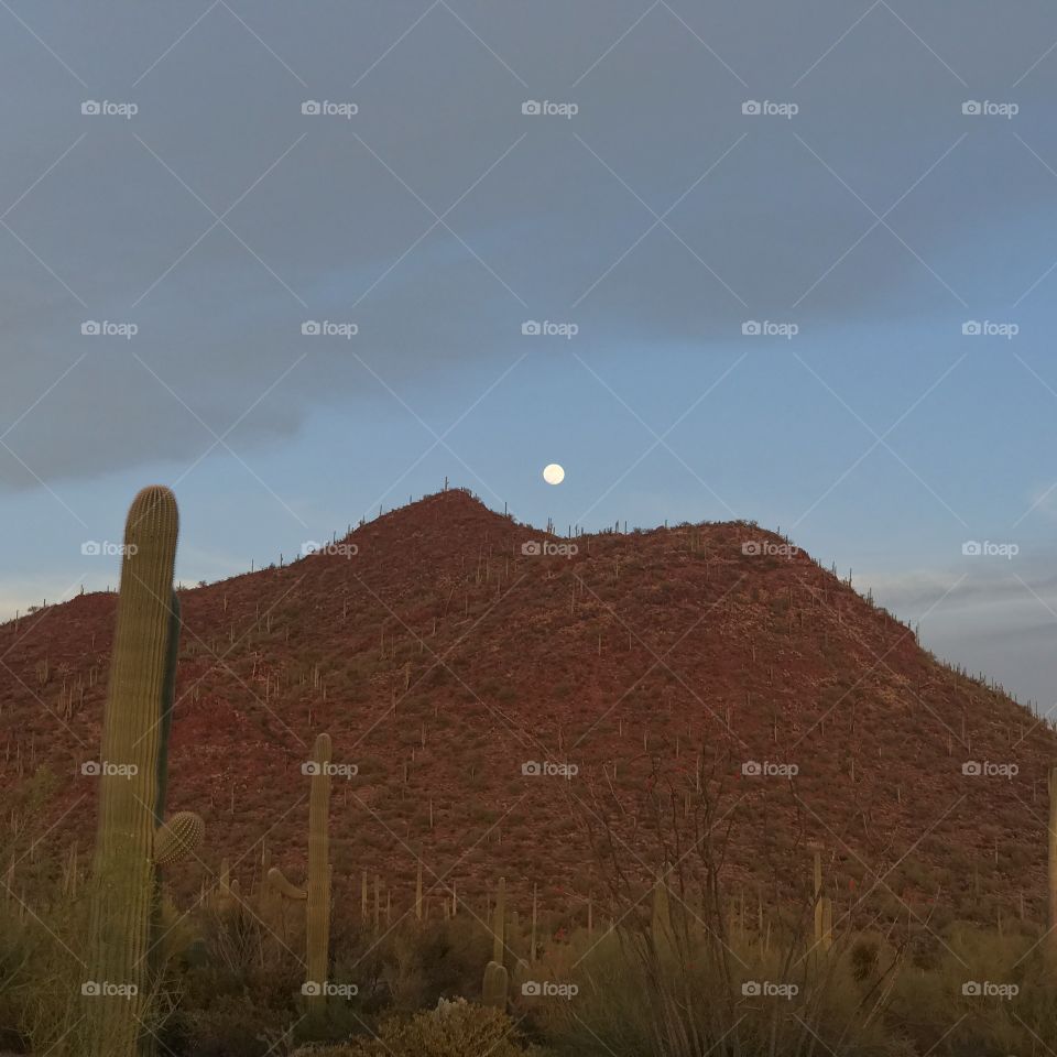 Nature - Desert Moonrise 