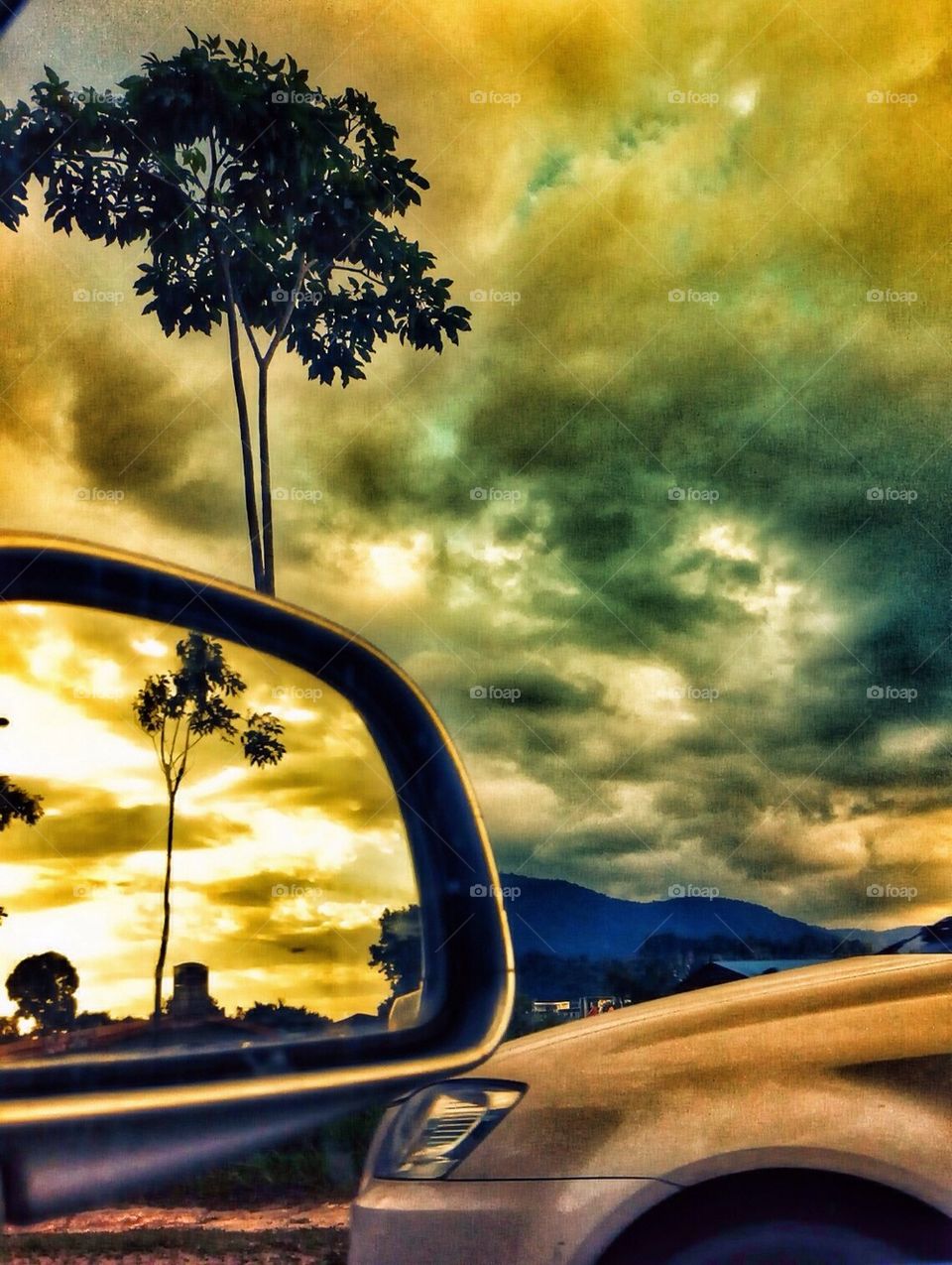 Side mirror of a car