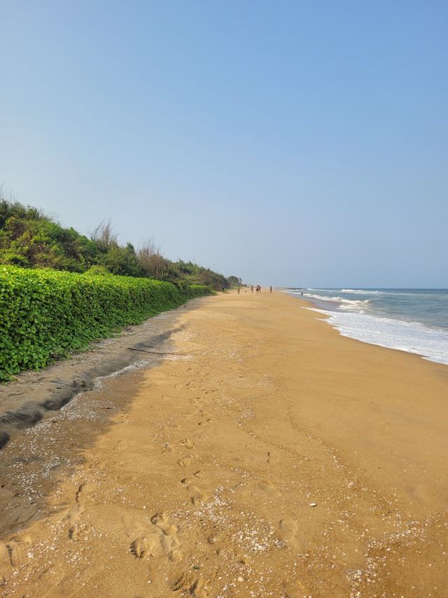 Pattipulam Beach Chennai Tamil