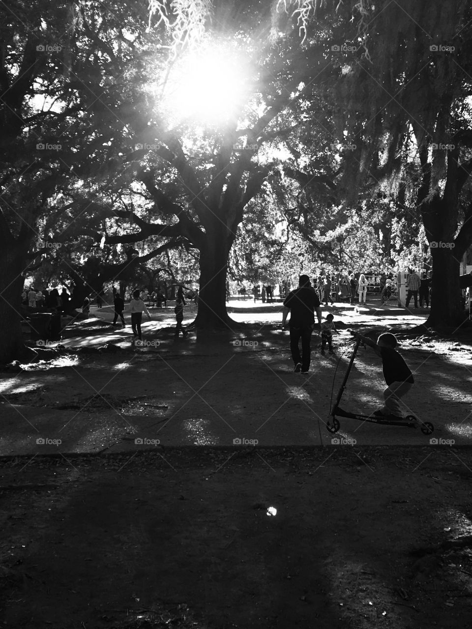 Walk through the park