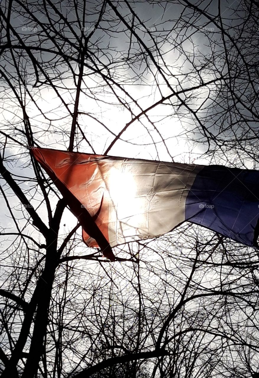 French flag in Paris