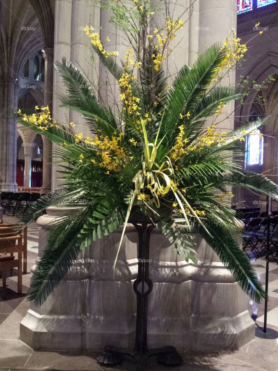 Palm Sunday 