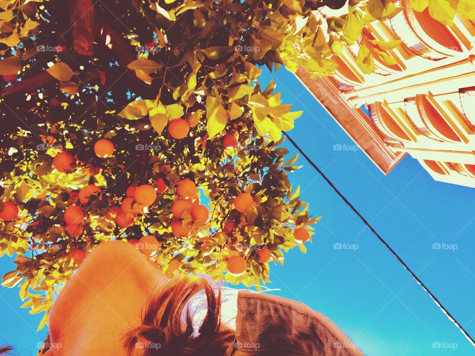 Looking at the world from below.