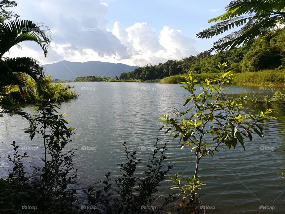 lagoon in summer