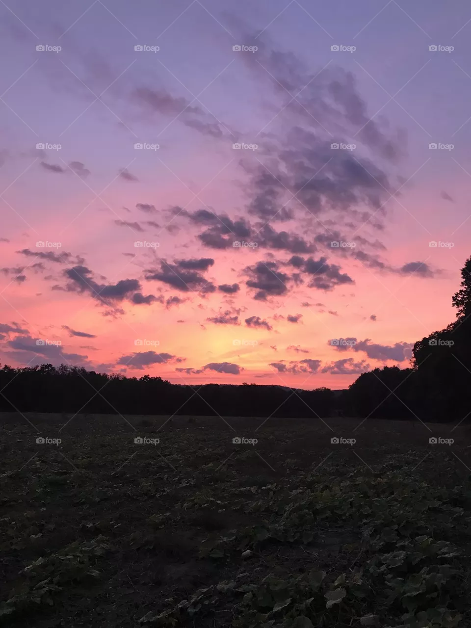Sun setting 