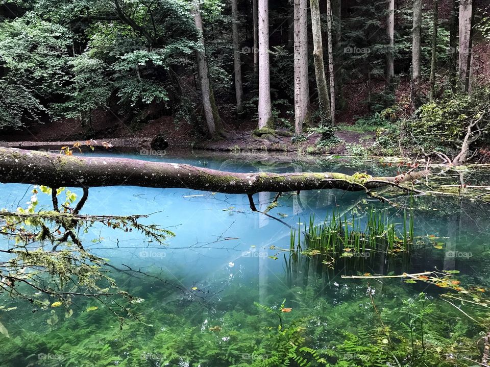 Steibachweiher blue water 