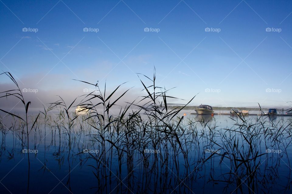 Mist over sea
