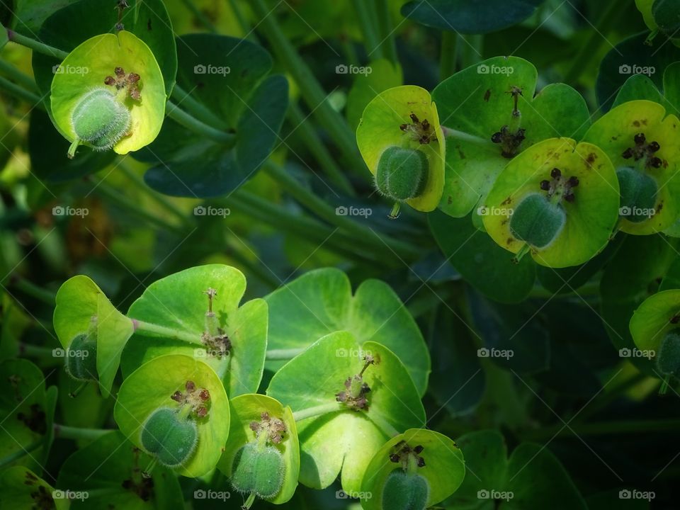 In low light how beautiful it is