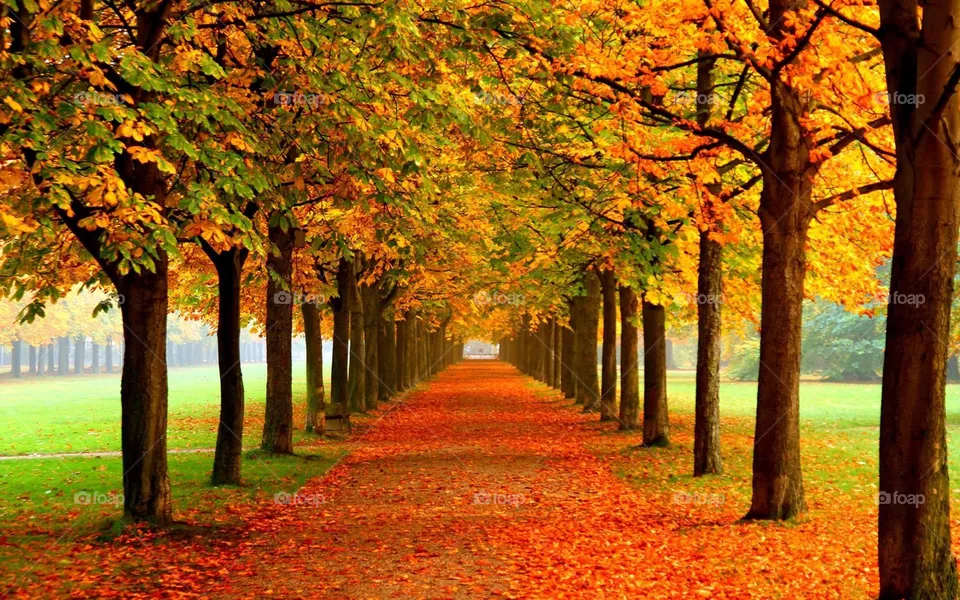 Autumn 