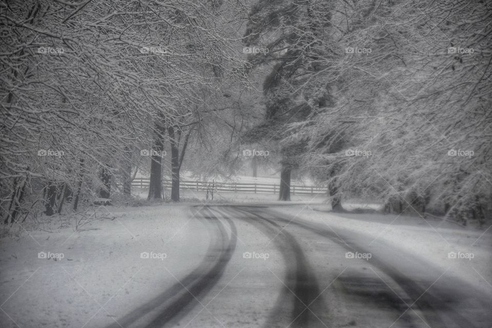 Snowy Road