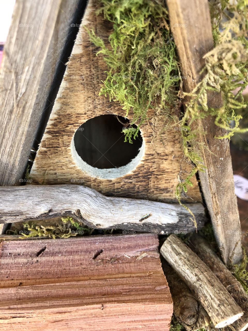Closeup of a decorative birdhouse with green moss. 