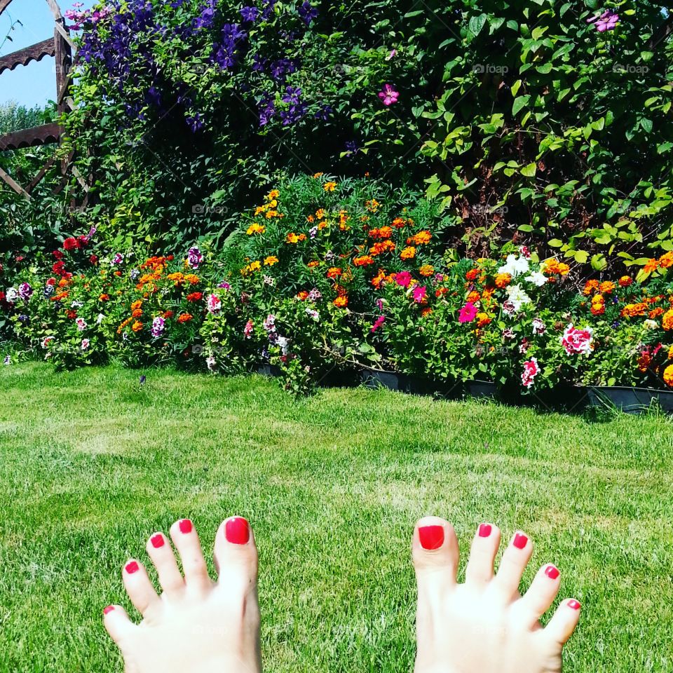 Toes on the background of a flowering front garden