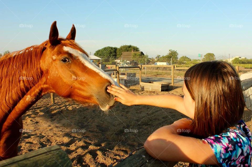 special bond between a girl and horse
