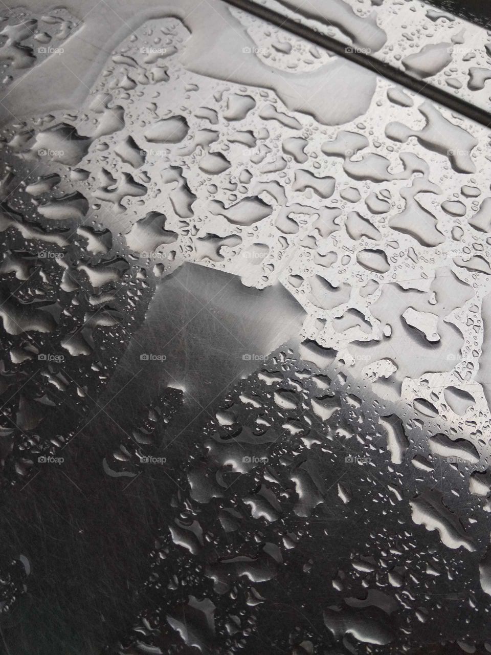 rainy season in nature