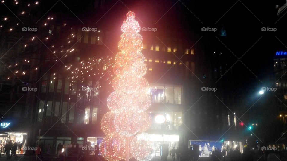 An illuminated christmas tree