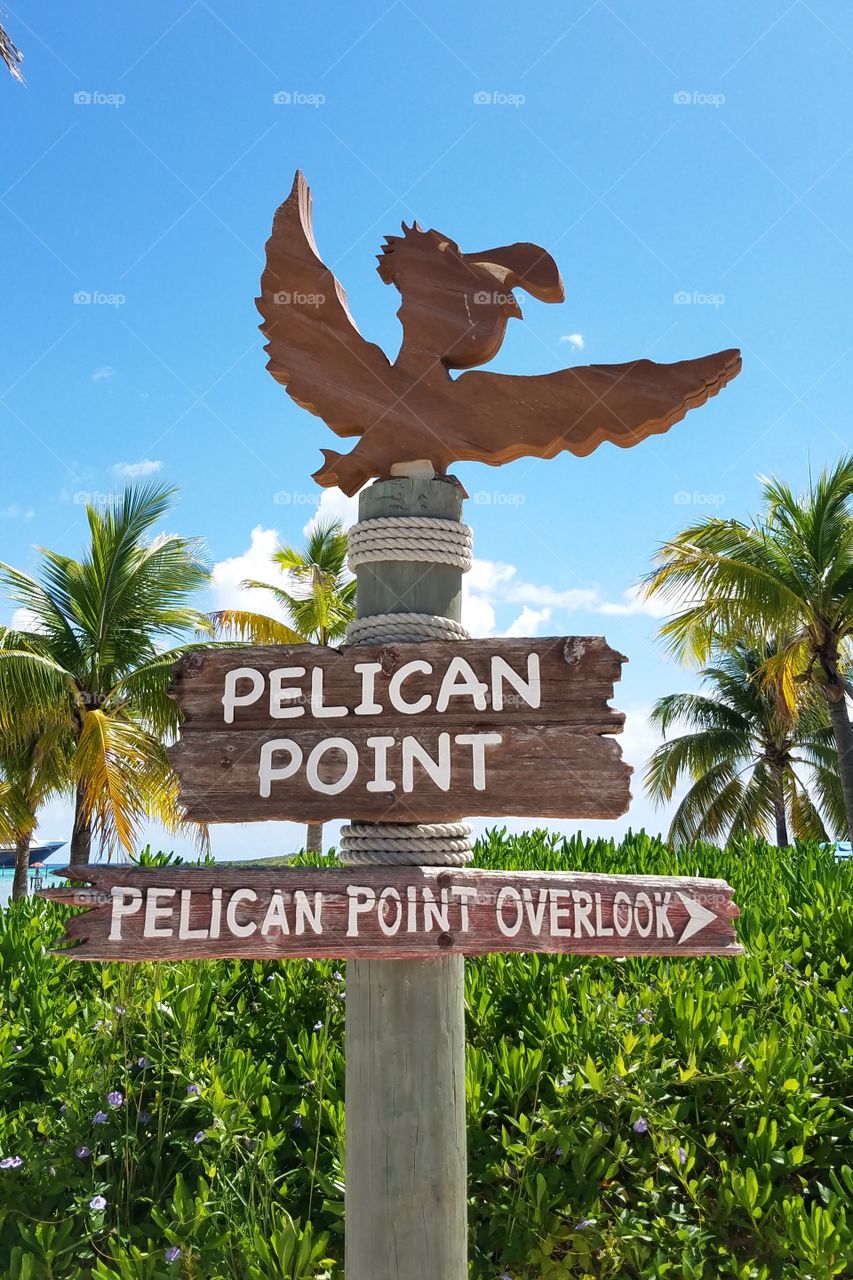 Bahamas Pelican Point