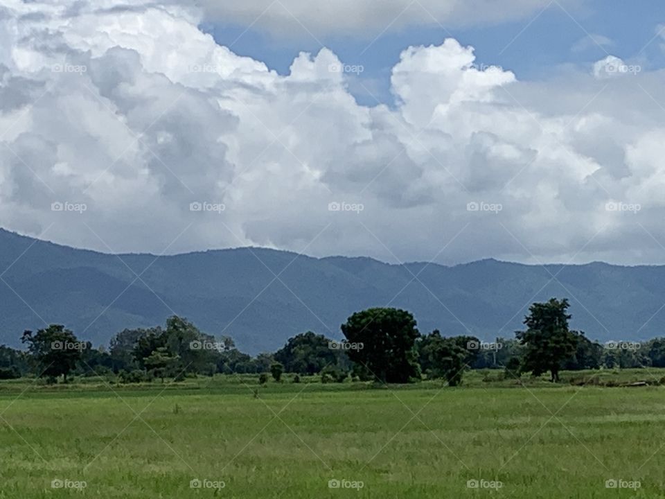 The stories of the nature, countryside (Thailand)